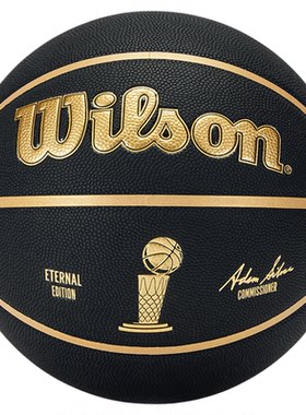 Wilson威尔胜NBA冠军奖杯篮球