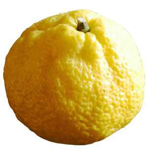 正宗象山青柑橘春香橘子新鲜水果无酸低糖纯甜不上火宁波特产包邮