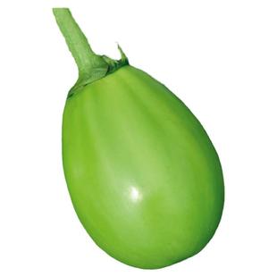 绿圆茄种子茄子苗秧苗大圆茄种籽青大全高产春季四季蔬菜孑老品种