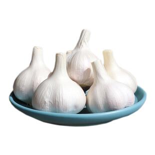 25年苍山大蒜四六瓣山东新鲜干蒜头鲜蒜兰陵正宗老品种笨白皮蒜子
