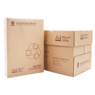 海龙玖龙70克80克A4复印纸a4纸打印纸500张/包 整箱5包新绿天章韵