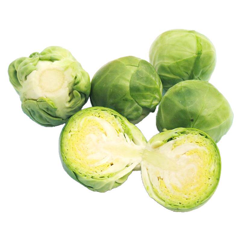 新鲜孢子甘蓝抱子甘蓝包菜卷心菜