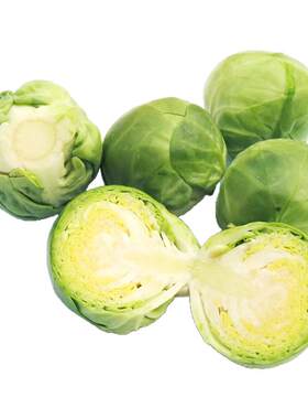 新鲜孢子甘蓝抱子甘蓝包菜卷心菜