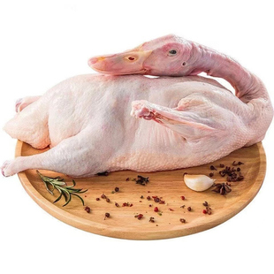 新鲜樱桃谷鸭肉白条鸭冷冻整鸭煲汤生鲜食材鲜鸭子肉整只顺丰包邮