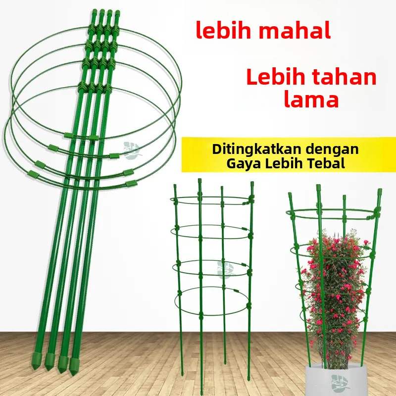 爬藤架子铁线莲花架月季花支架花盆栽植物攀爬架室内固定花支撑杆
