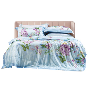 【专柜同款】富安娜60S天丝蚕丝夏被可水洗空调被蚕丝被 蓝风伶