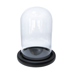 积木手办盲盒保护罩永生花玻璃罩昆虫标本展示盒凤冠八音盒防尘罩