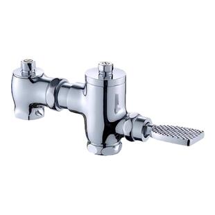 立新求精大便阀手按式大便冲洗阀厕所蹲坑冲水阀门延时自闭式全铜