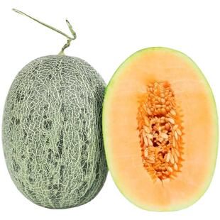 新疆哈密瓜新鲜水果整箱吐鲁番直发西州蜜25号脆甜瓜当季现摘9斤