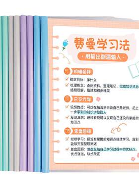 抽杆夹PP十个装收纳用品活页夹
