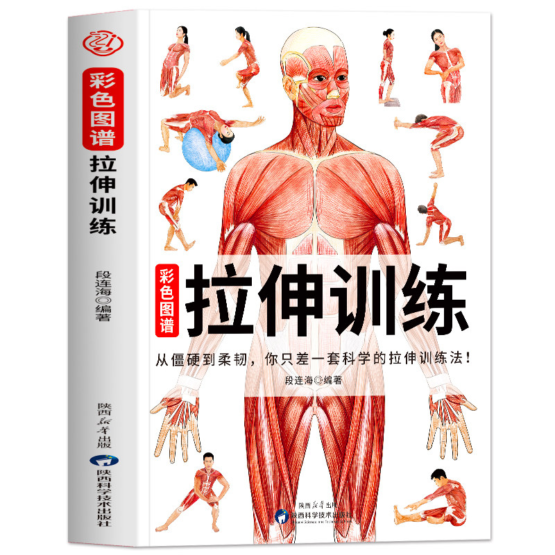 拉伸训练彩色图谱正版 拉伸训练解剖全书 运动解剖学精准拉伸运动系统训练肌肉松解拉伸健美训练肌肉训练完全图解拉伸动作图解书籍