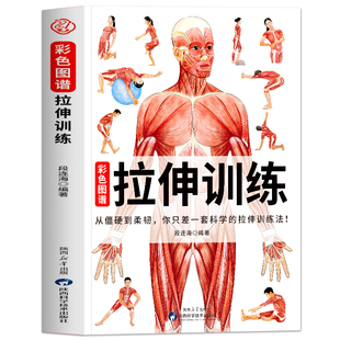 拉伸训练彩色图谱正版 拉伸训练解剖全书 运动解剖学精准拉伸运动系统训练肌肉松解拉伸健美训练肌肉训练完全图解拉伸动作图解书籍