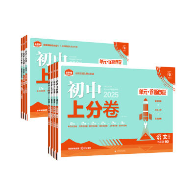 理想树初中上分卷必刷题九年级