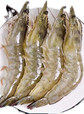 厄瓜多尔原装进口海捕桑塔盐冻虾
