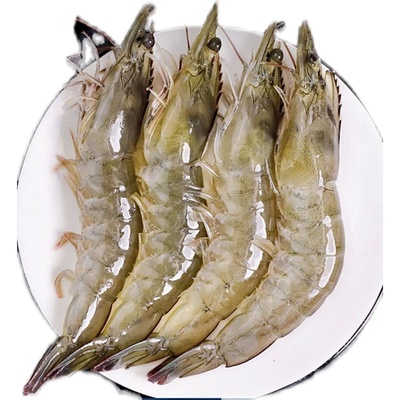 厄瓜多尔原装进口海捕桑塔盐冻虾