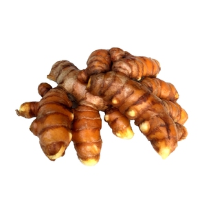 新鲜黄姜 德庆山野小黄姜生姜食用土姜黄黄肉姜产后调节月子姜包