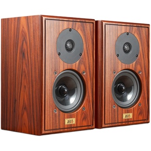 PAIYON派扬 致敬3密闭式书架HIFI音箱 5寸无源高保真发烧音响通透