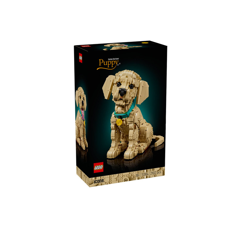 LEGO乐高ICONS系列11普通塑料积木