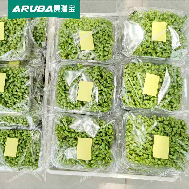芽苗菜包装机 水培菜豆芽豆苗花生芽自动包装机 贴标机澳瑞宝厂家