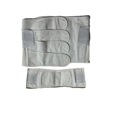 panapopo腹带1件/袋