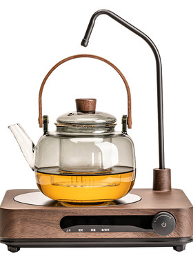 泥徒电陶炉煮茶器玻璃煮茶壶套装