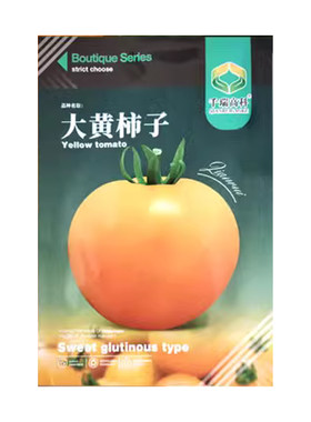 大黄柿子种子口感好长势强