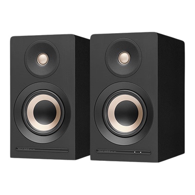 新品】polk普乐之声A100有源音箱