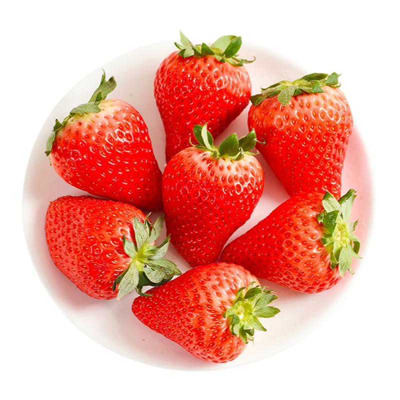 现货丹东草莓大果新鲜99草莓红颜九九牛奶草莓孕妇水果空运礼盒装