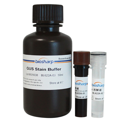 BiosharpGUS染色试剂盒