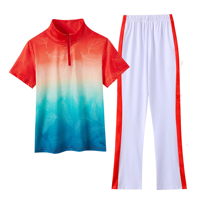 杨丽萍广场舞服装夏季新款短袖女款速干休闲团队表演服装运动套装