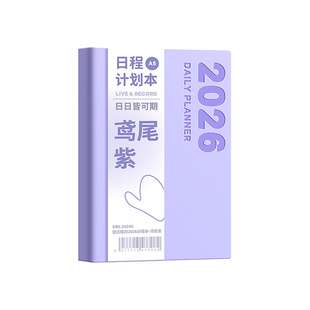 小槑同学 2026年新款日程本两天一页每日计划本A5工作日历记事本加厚笔记本本子26年高颜值