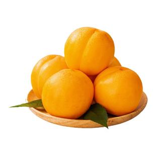 正宗黄桃新鲜水果应季黄油桃黄金蜜桃大果王顺丰包邮当季新鲜无毛