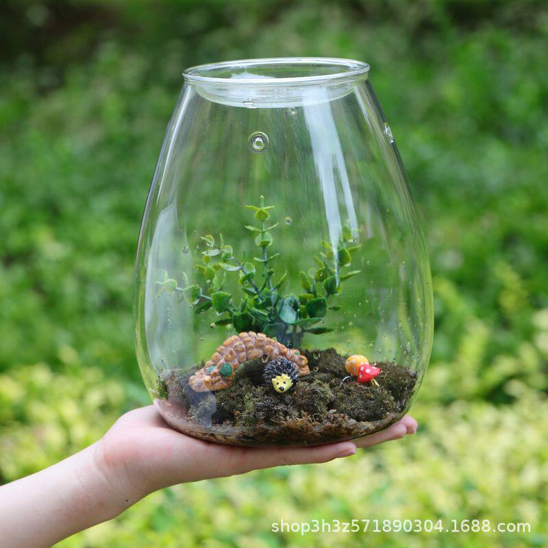 新品 创意微景观玻璃苔藓生态瓶玻璃罩玻璃瓶雫雫迷你办公桌小型