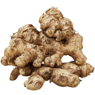 精品姜种大肉姜新鲜老姜生姜大黄姜月子姜土姜品质5斤1份包邮新鲜