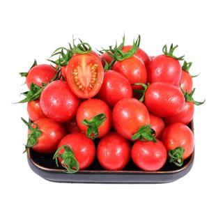 2025现摘樱桃小番茄果小西红柿圣女果小番茄新鲜整箱摘水果非千禧