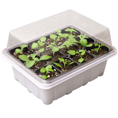 扦插育苗专用盆营养钵月季多肉