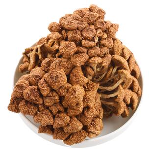 滑子菇250g干货 滑子蘑菇干福建古田特产菇食用菌新鲜滑菇干锅食