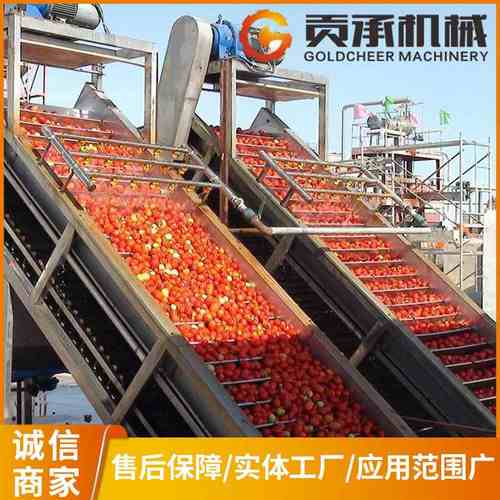 苹果汁生产线  厂家定 制番茄酱 苹果饮料 全自动生产线