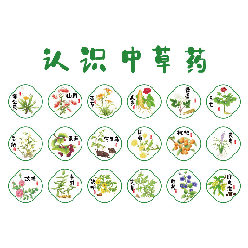 中草医药材馆标本展示挂图幼儿园墙面装饰文化走廊环创主题成品贴