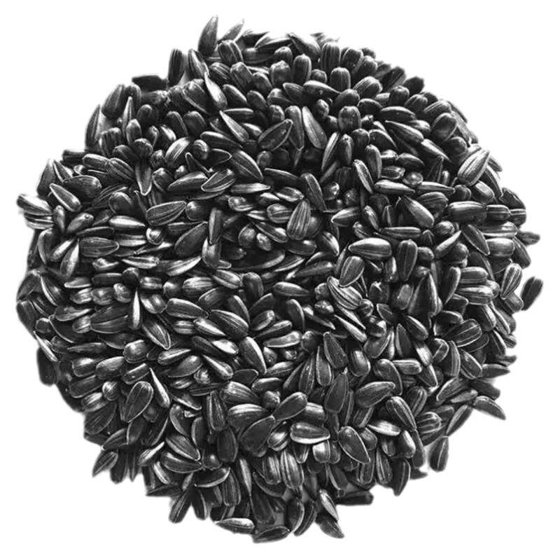 油葵鹦鹉鸟粮仓鼠鸽粮小瓜子鸟食人工挑选虎皮牡丹粮食零食饲料