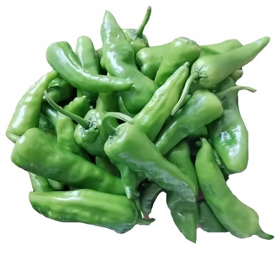 江西薄皮余干辣椒苗早熟特辣