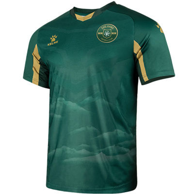 卡尔美绿城球衣中甲球迷版成人