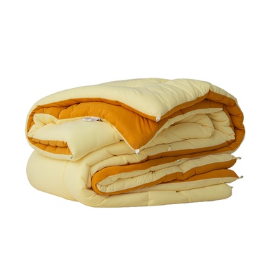 睡蕉暖暖冬被A类四季被抑菌防螨