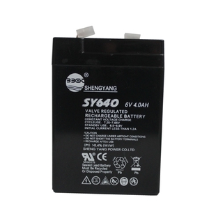 SHENGYANG晟阳蓄电池 SY640 6V4AH 玩具车 童车 电子称用电瓶