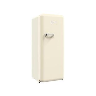 HCK哈士奇立式冷柜家用客厅冰柜冷冻冷藏一键切换复古冰箱全冷冻