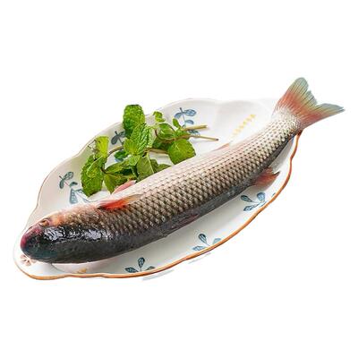 整条现杀味鲜仔鱼新鲜送达