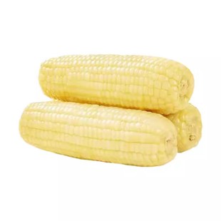 华田禾邦新鲜甜糯玉米早餐低脂健身杂粮苞米棒真空袋包装代餐粗粮