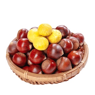 2025年建瓯锥栗高山板栗新鲜生油栗尖栗圆栗子福建农家野生毛栗子