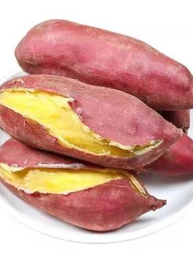 应季新鲜天目山现挖现发小香薯