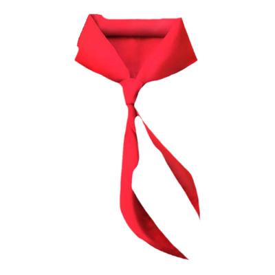 红领巾小学生纯棉绸缎